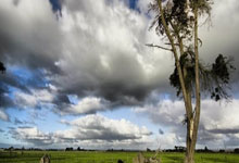 戴维科雷执法，皇马创历史，马德里竞技俯首称臣