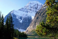 足球赛场火爆情景上演，场面扣人心弦