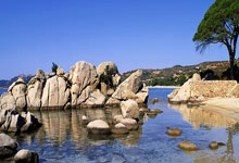 波尔多防守强硬，取得宝贵三分